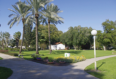 חצר הקיבוץ נווה אור